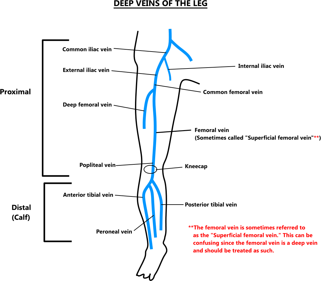 Deep Vein Thrombosis