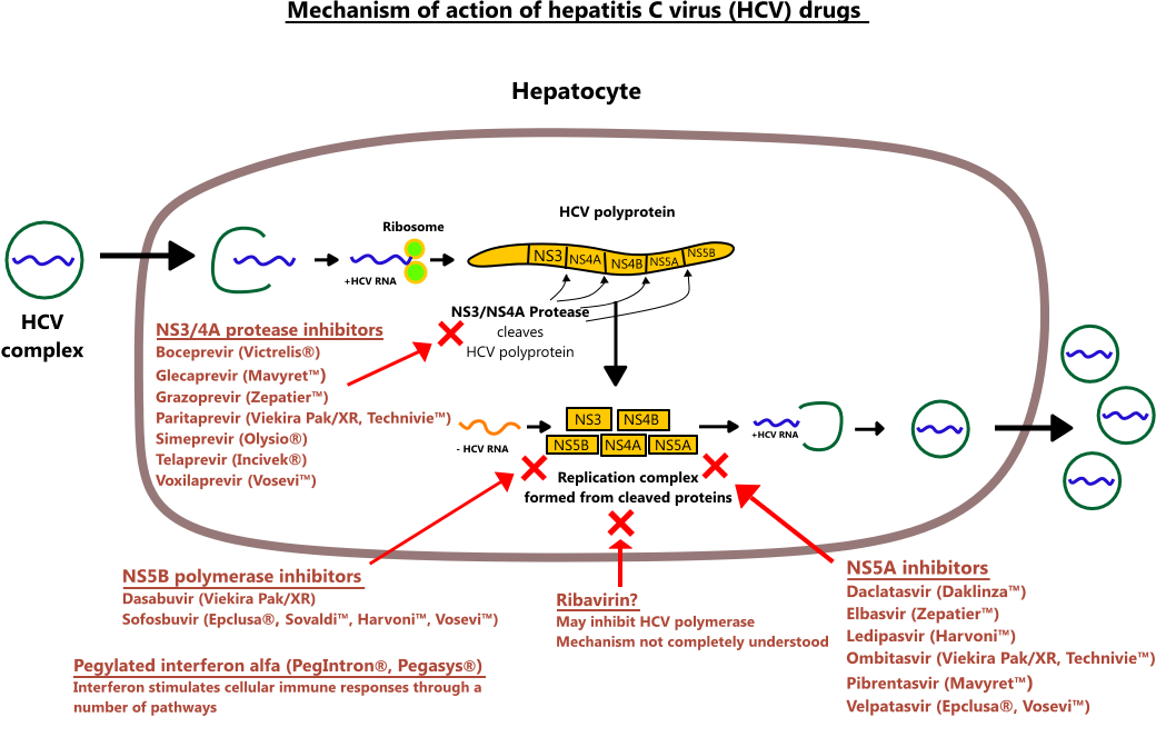 Mavyret Dosing Chart