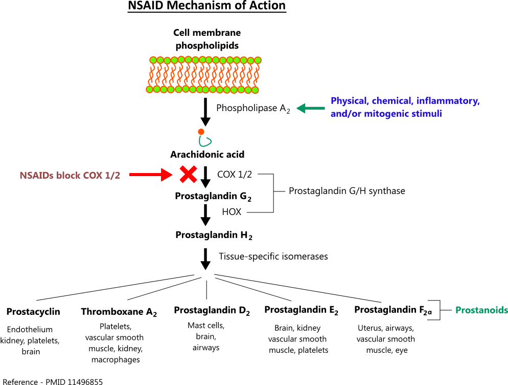 Nsaid Equivalency Chart