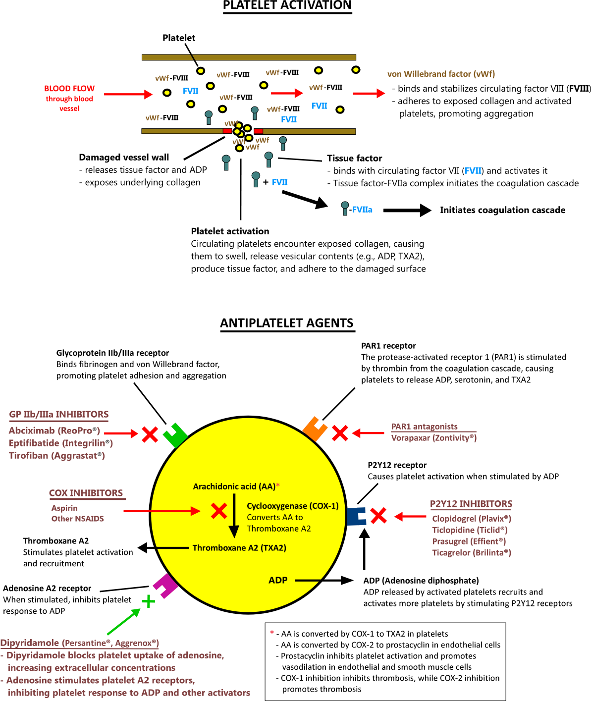 Reopro Dosing Chart