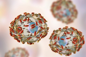 picture of clue cells