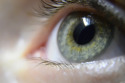 Picture of an eye