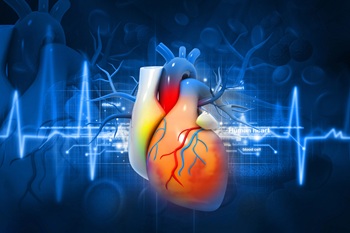 illustration of human heart