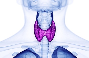 Illustration of thyroid hormone physiology