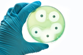 petri dish with antibiotic discs