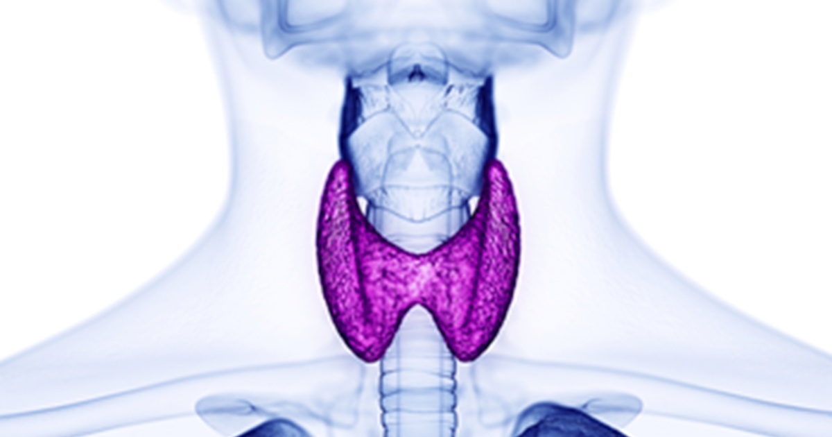 Illustration of thyroid hormone physiology