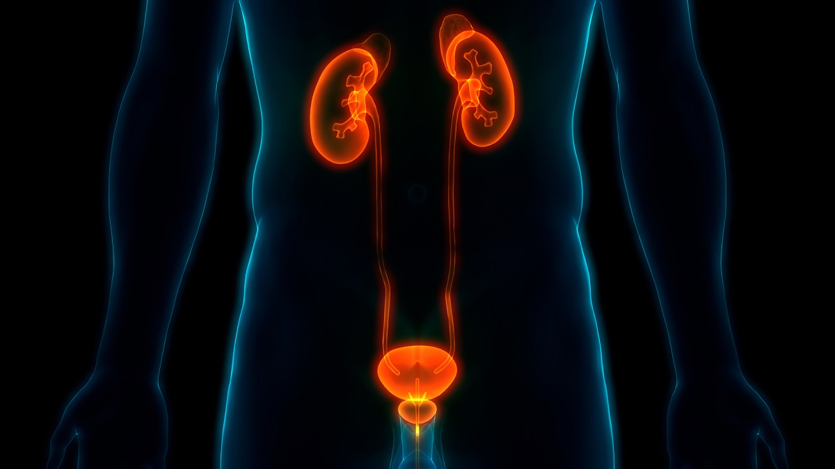 ciprofloxacin 500 goodrx